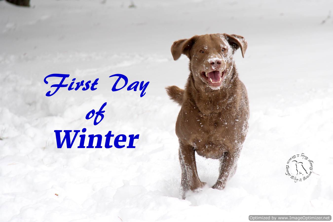 Happy First Day Of WinterJump For Joy 2 Brown Dawgs Blog