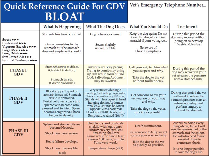 Caring For Critters-Canine Bloat Or Gastric Dilatation-Volvulus (GDV ...